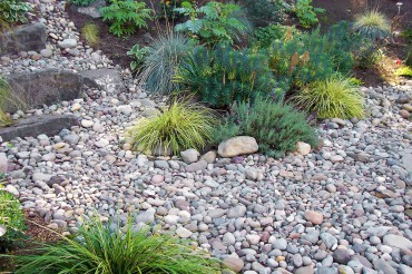 WSHG.NET | The Beauty and Effect of Gravel in the Garden | Featured