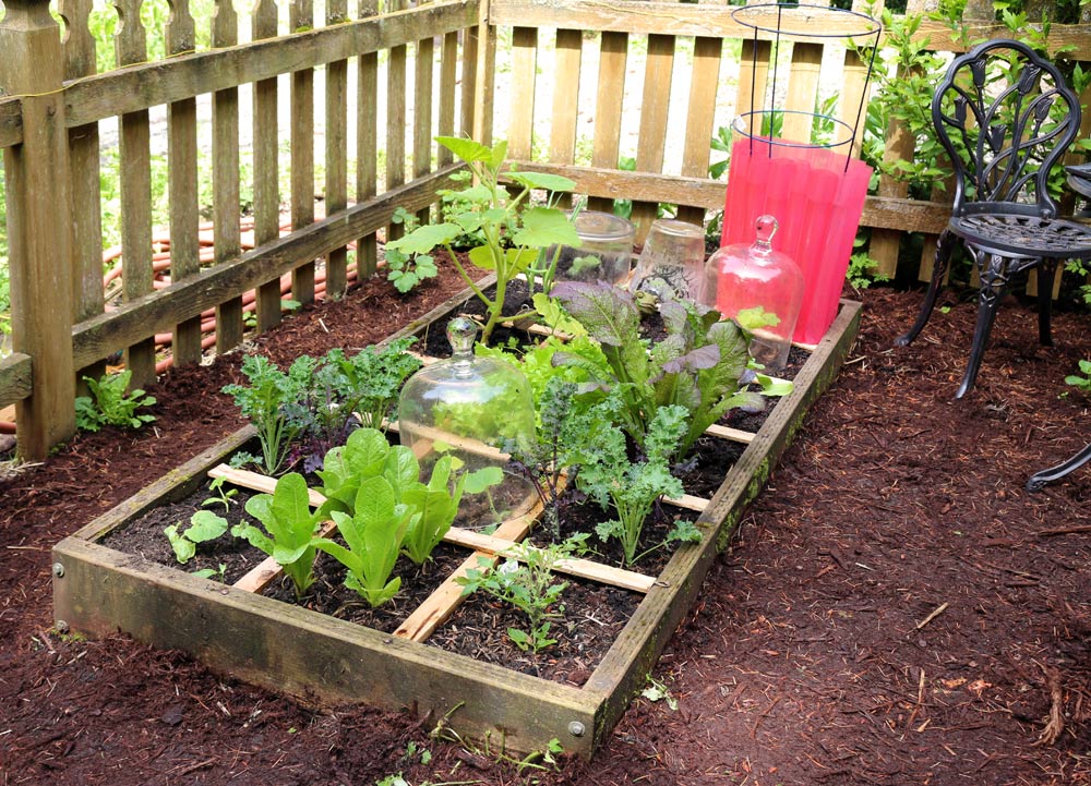Wshg Net Easy Peasy Square Foot Gardening Featured The Garden